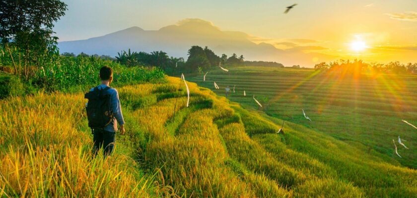 A man walking down a grassy hill at sunset